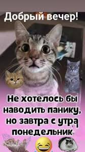 Завтра Понедельник Прикольные | TikTok