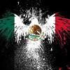 Flag, battle of cerro gordo 1