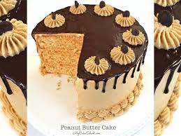 Outside of a steaming hot mug of cocoa, chocolate frosting is one of the best ways to enjoy this edible equivalent of love. Peanut Butter Cake My Cake School