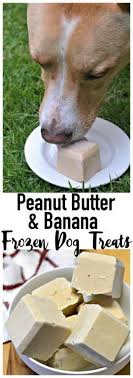 Peanut Butter And Banana Frozen Dog Treat Recipe Frozen Dog Treats Frozen Dog Frozen Dog Treats Homemade