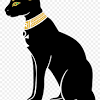 A cat can either be a house cat, a farm cat or a feral cat; 1