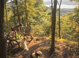 The 2019 Adventure Dogs: Best Buddy Shot