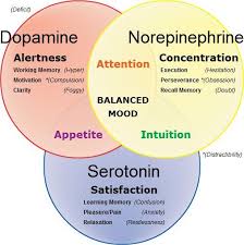 Pin On Add Adhd Tips Info