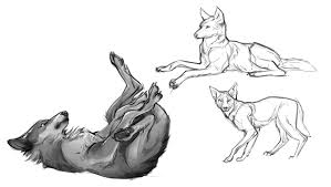 Animal Blog Character Design References Https Www Facebook Com Characterdesignreferences Https Www Pi Animal Drawings Creature Design Creature Art