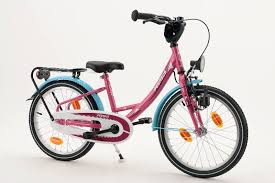 Pegasus Leo Kids 18 Zoll Kinderfahrrad 1 Gang Nabenschaltung Pink Kinderrader 18 Fahrrader Mono 18 Zoll Marapink Www Fahrradgigant De Gunstig Online Kaufen