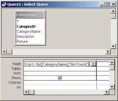 Ms Access Nz Function