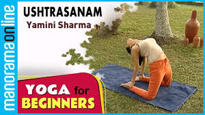 Pin On Yoga