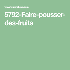 Comment Faire Germer Noyaux Et Pepins Pour Faire Pousser Des Fruits Tout Pratique Fruits Fruit Arbre Fruitier