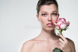 38,838 Young Pink Rose Stock Photos