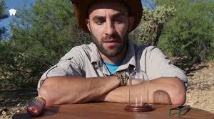 Coyote Peterson Stung By A Cow Killer Facebook