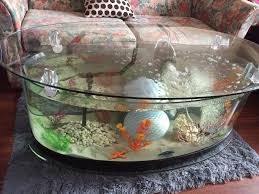 Well you're in luck, because here they come. Coffee Table Aquarium For Sale