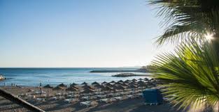 Image result for Atalaya alata