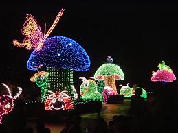 Disneyland S Electric Light Parade Clap Loud Enough And The Bugs Will Come Up To You Oh Man This Wa Disney Fireworks Disney Electrical Parade Disney Parade
