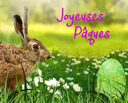 320 x 240 jpeg 35 кб. Lundi De Paques Procanis Votre Animalerie A Nancy Pulnoy