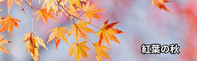 秋といえば？】旬の食べ物や花、紅葉などあなたがイメージするの ...