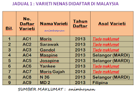 Sering mengalami air pasang dan surut. Http Kccci Org My Files 20191026 Agro Nanas Pdf