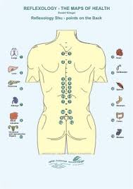 Pin On Holistic Pain Management