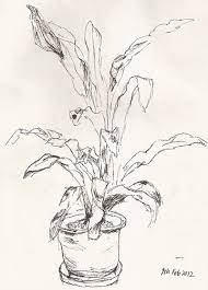 Pin On Adult Coloring Pages