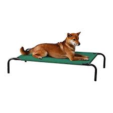 Contact cani taglia grande on messenger. Lettini Per Cani Consigli Per L Acquisto A Buon Prezzo E L Utilizzo