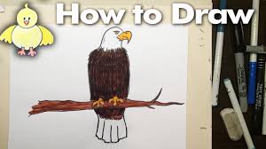 We will draw a flying cartoon eagle today which is mainly made for kids. How To Draw A Cartoon Eagle Step By Step Youtube