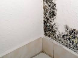 Pourtant, les conséquences doivent être relativisées selon l'affectation de chacun. Etancheite Murs Interieurs Recherche Fuite Eau Et Infiltration Mur