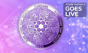 Cardano live is a podcast based on the cardano cryptocurrency ecosystem that breaks down new and complex information for viewers new to cardano and people who are curious to hear from the experts. Rtiaqv8fekhaxm