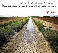 pin by amira dati on حكم wisdom quotes life arabic quotes arabic love quotes