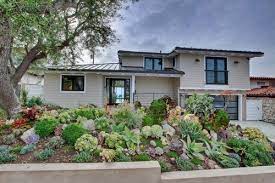 Alien invasive succulent plant list for south africa; Succulent Garden Ideas Succulent Shop Nursery South Africa Buy Succulents Online