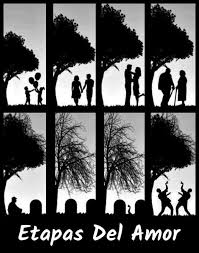 Etapas Del Amor Imagens Aleatorias Imagens Hilarias Ciclo Da Vida