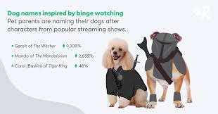 If you love disney movies, then i am sure you will love these dog disney names for your new rescue puppy. Top 100 Most Popular Dog Names In 2020 Rover Com