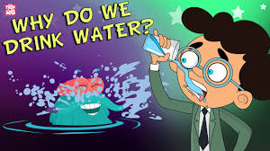 The first bath will be a sponge bath. Why Do We Drink Water Importance Of Water Stay Hydrated The Dr Binocs Show Peekaboo Kidz Youtube