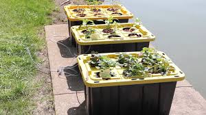 images?q=tbn:ANd9GcT4ZxT0LdQxKQi47GFJkeU