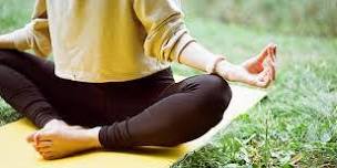 Sasaphras Yoga