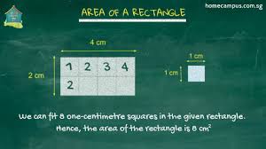 Unit 7 polygons & quadrilaterals homework 4 rectangles unit 7 polygons and quadrilaterals homework 4 answer key unit pre test assessment complete 32.5% introduction to polygons module 3 of 3 mastered 100% summin unit pre test assessment complete. Area And Perimeter Of Rectangles And Squares Home Campus