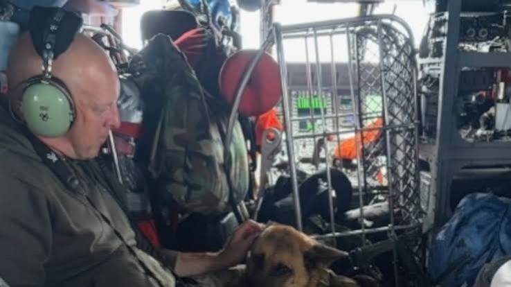 Hiker, 70, Found Alive After 11 Days Lost in Wilderness