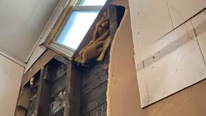 Fundraiser for Antonio Hernandez by Cindy Castillo : Fire Relief Fund for  the Hernandez Family