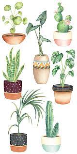 Use these free succulents and cactus png #70279 for your personal projects or designs. Pin On Easter