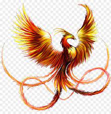 Ave Fenix Pinterest Compass Tattoo And Tatting Pheonix Tattoo Png Image With Transparent Background Png Free Png Images Compass Tattoo Pheonix Tattoo Tattoo Design Drawings