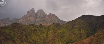 صور الباحة تلبس حلة خضراء بعد أمطار غزيرة Natural Landmarks Landmarks Grand Canyon