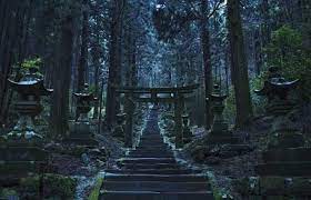 blackmoor on instagram japanese japan japanseshrine shrine torii lantern forestshrine forest wo japanese landscape japanese shrine mysterious places