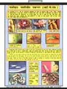 Educational Laminated Agriculture Charts Infotech