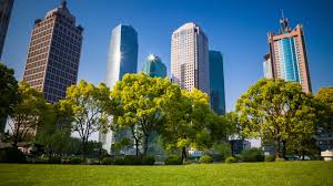 Image result for zero-emission cities of the future