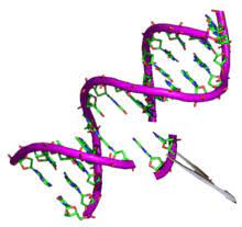 The act of modifying or the condition of being modified | meaning, pronunciation, translations and examples Modifications Genetics Wikipedia