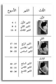 فيديو تكوين الجنين في الشهر الخامس الحمل تطرأ العيد من التغيرات خلال. Ù‚Ø¨Ø§Ù„Ø© ÙˆÙŠÙƒÙŠØ¨ÙŠØ¯ÙŠØ§