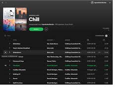 We hope you enjoyed our collection of the best playlists on spotify. Desktop Playlists Give Us The Option To Choose The Spotify Community