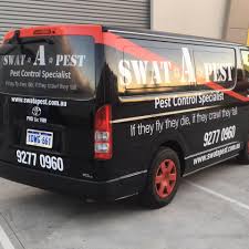 • pest management is involved with the health and safety of our health, food, and protection of our property • insects can carry deadly diseases. Spider Pest Control Perth Effective Treatment Advice Swat A Pest