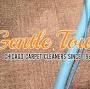 Gentle Touch Cleaners from www.gentletouchcarpet.com