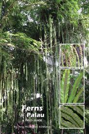 Among the nonflowering plants, ferns and their relatives are unique. Ferns Of Palau A Field Guide Nhbs Field Guides Natural History