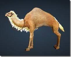 Black desert how to get a camel & fix camel quest not. Bdo Fashion Brown Camel Black Desert Online
