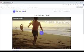 Chrome Web Store - Google